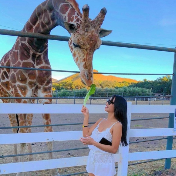 Bundle Set Bodysuit, Satin Romper - Picture 3 of 7